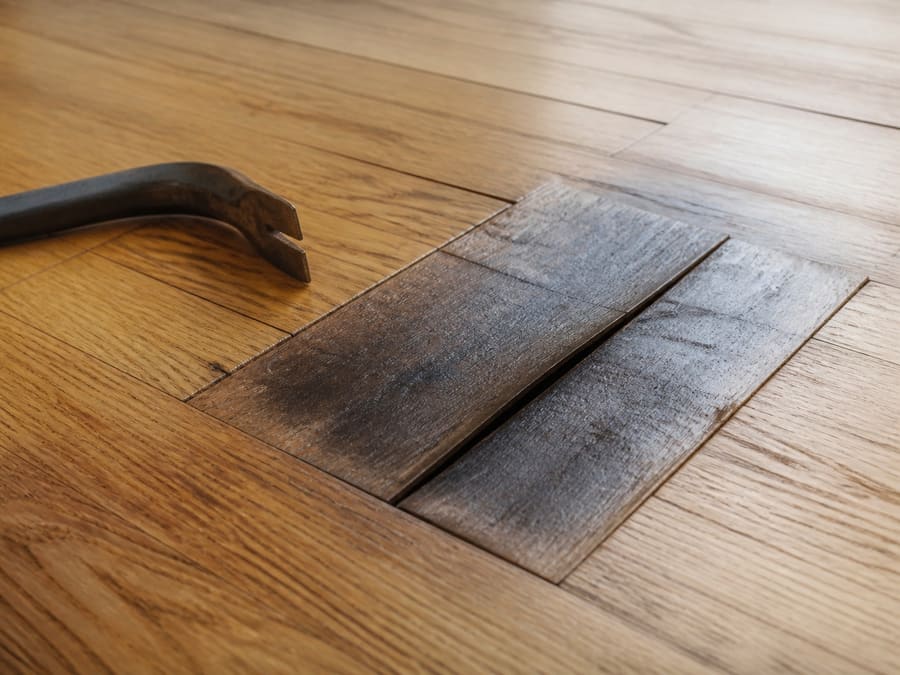 A single damaged floorboard being lifted out of an otherwise sound wood floor