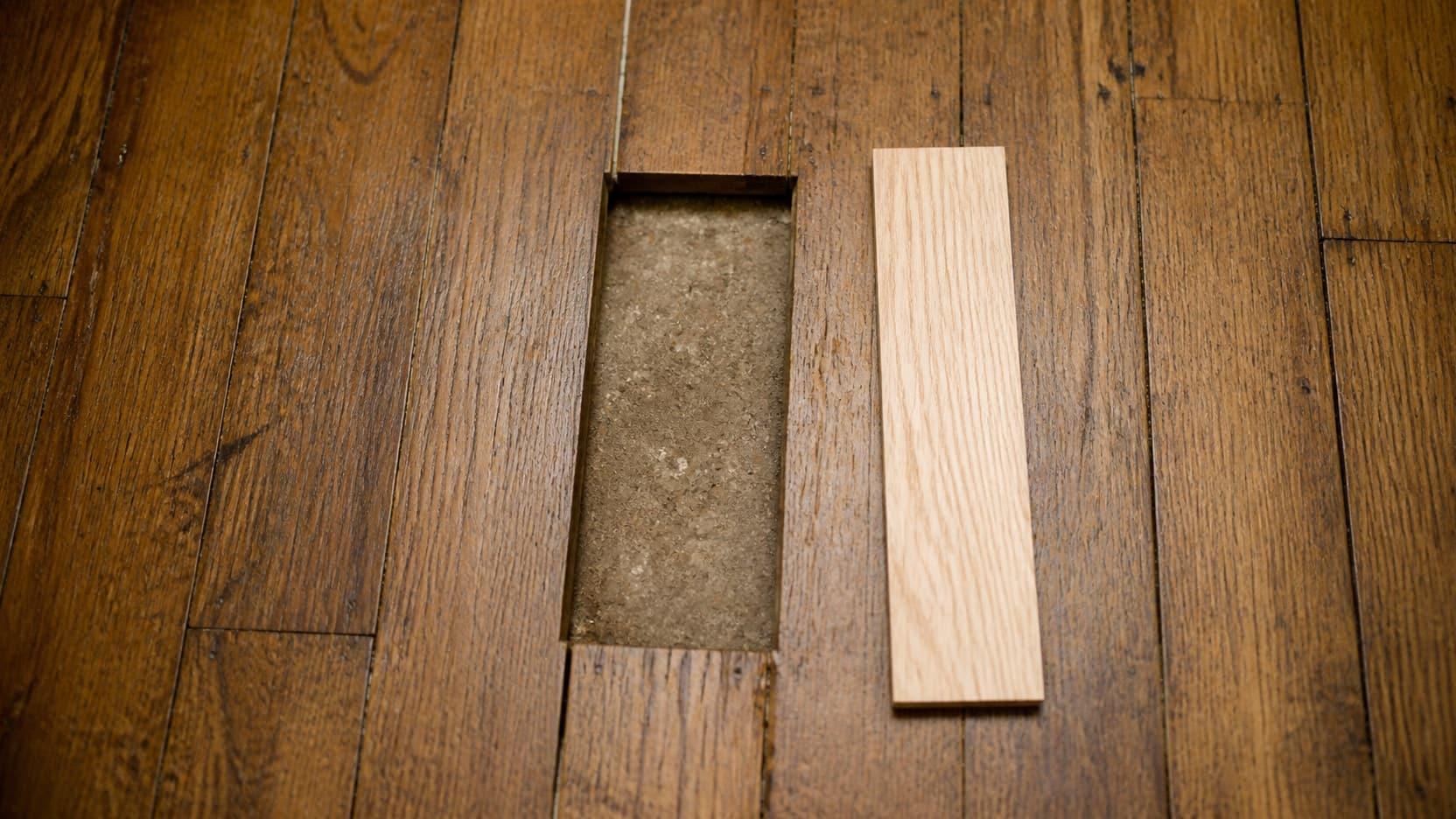 A single damaged floorboard being lifted out of an otherwise sound wood floor